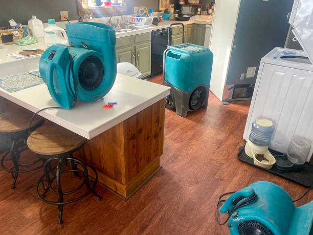 Best Professional water damage repair  in Salix, PA