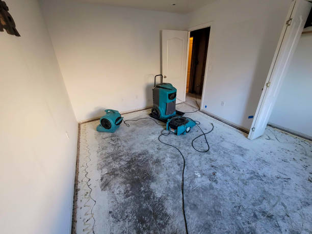 Best Water damage restoration near me  in Salix, PA