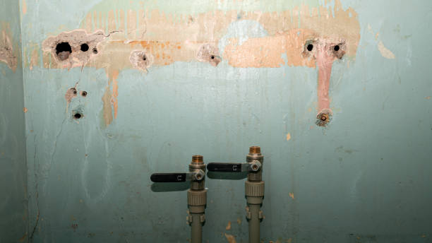 Best Residential water damage restoration  in Salix, PA